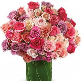 Rose Rapture