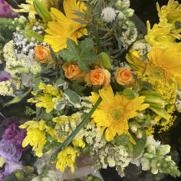 Yellow and white mix