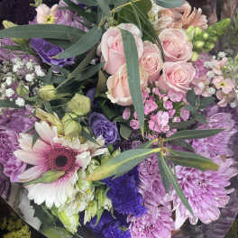 Peach white pink light purple