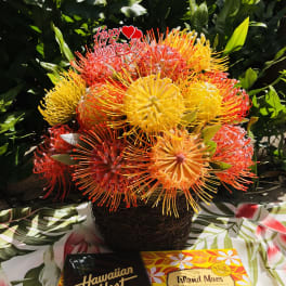 Pincushion Paradise **National Shipping**