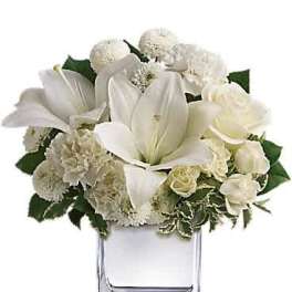 Teleflora's Peace &amp; Joy Bouquet