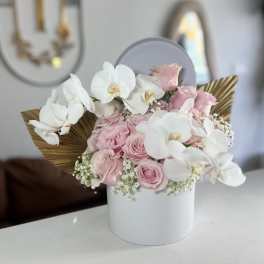 Ideas Luxury Box