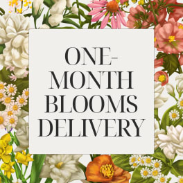 Floral graphic with the words "ONE-MONTH BLOOMS DELIVERY"