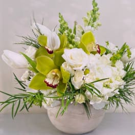 The bright White Bowl