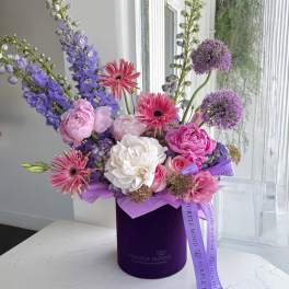 Purple Mood Box 360°