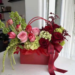 Red mini Bag