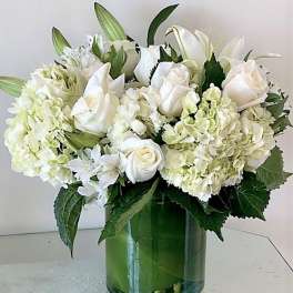 Simply Whites