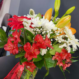 Lily's astromelias Dasis estates