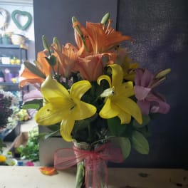 Lily's
