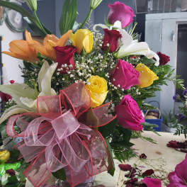 Lily's Rosas