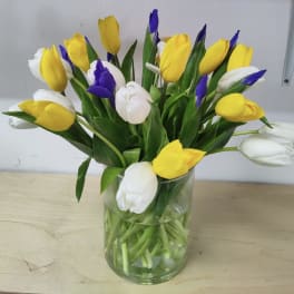 Tulips