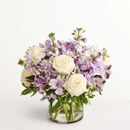 Lovely Lavender Medley™
