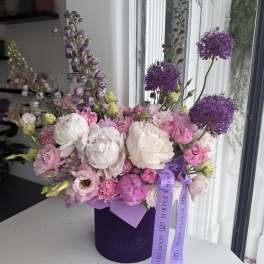 Purple Mood Box 360°