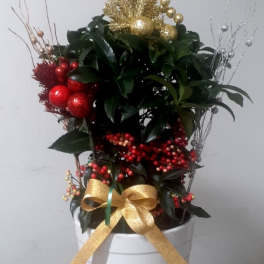 Holiday plant arrangement in a white pot with red and gold decorations