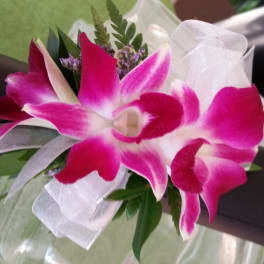 Pink and white orchid corsage with ribbon and greenery