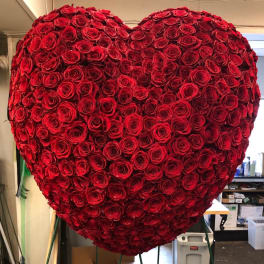 Large heart-shaped arrangement of red roses