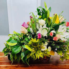Classic Plant and Petals Combo