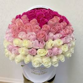 Pink Ombre Special Signature Box