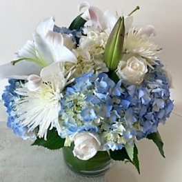 Baby Blue