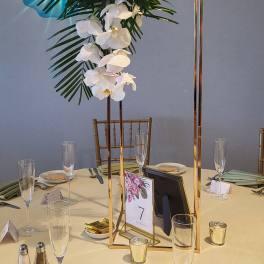 White orchid arrangement