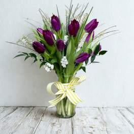 Timeless Tulips