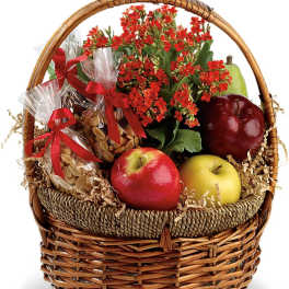Health Nut Basket