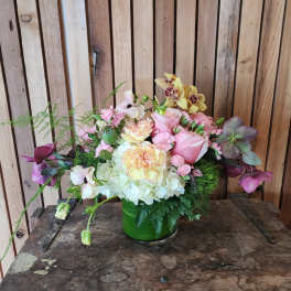 Blush & Buttercream