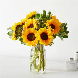 Sunflowers arranged in a clear glass vase
