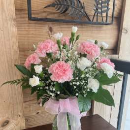 Lovely Carnations