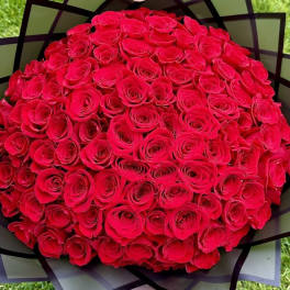 La Buchona 100 Rose Bouquet