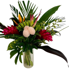 Tropic rainbow