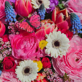 Katey’s Mother’s Day Special
