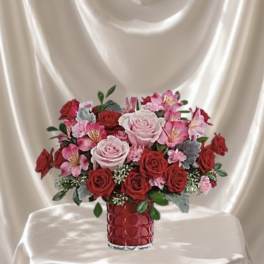Blush & Crimson Romance