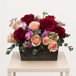 Garden Box