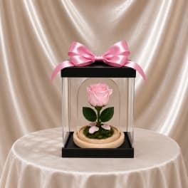 Forever Rose – Soft Pink (Height: 6.69 ")