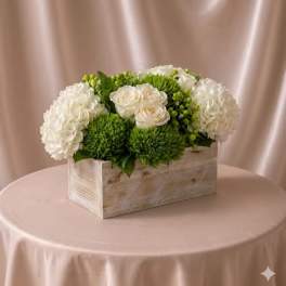 Soft Garden Elegance