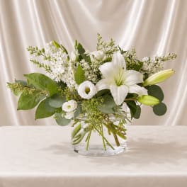Pure Centerpiece