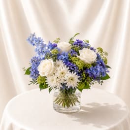 Blue Garden