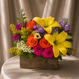 Garden Delight | Designer Choice