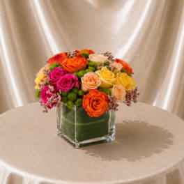 Vibrant Garden Blooms
