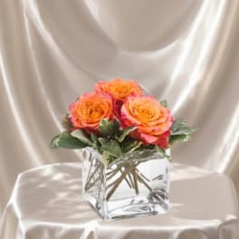 Petite Spirit Rose Trio