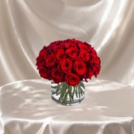 Scarlet Romance