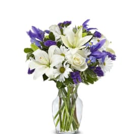 Blue Iris #007