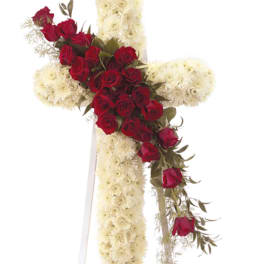 Faithful Splendor