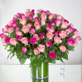 Pink Splendor (DL)