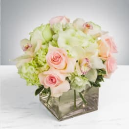 Elegant by BloomNation™