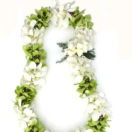 Graduation Double Lei (Green & White)