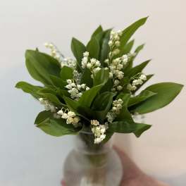lilies of the valley