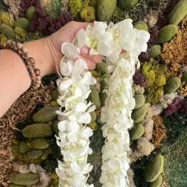 White flower lei held in a hand against a moss wall