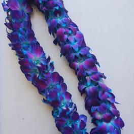 Blue orchid Lei
